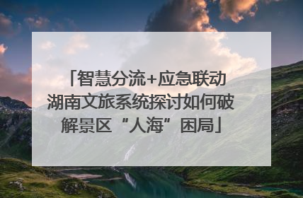 智慧分流+应急联动 湖南文旅系统探讨如何破解景区“人海”困局