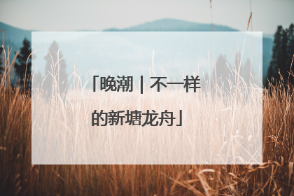 晚潮｜不一样的新塘龙舟