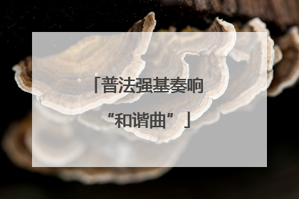 普法强基奏响“和谐曲”
