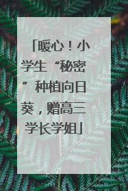 暖心！小学生“秘密”种植向日葵，赠高三学长学姐