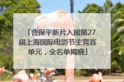 曹保平新片入围第27届上海国际电影节主竞赛单元，全名单揭晓