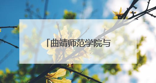 曲靖师范学院与宣威市教育体育局共商“体育美育浸润行动计划”