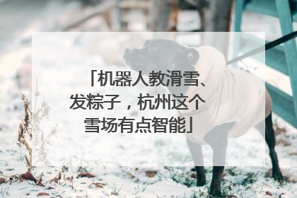 机器人教滑雪、发粽子，杭州这个雪场有点智能