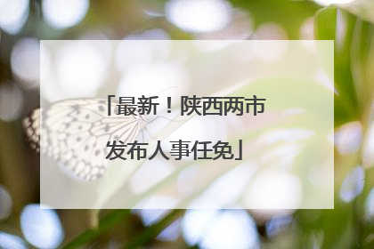 最新！陕西两市发布人事任免