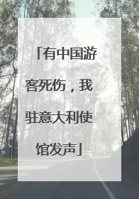 有中国游客死伤，我驻意大利使馆发声