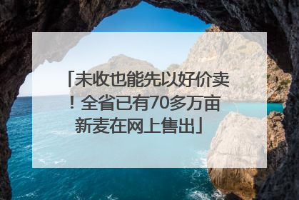 未收也能先以好价卖！全省已有70多万亩新麦在网上售出