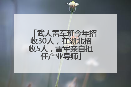 武大雷军班今年招收30人，在湖北招收5人，雷军亲自担任产业导师