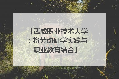 武威职业技术大学：将劳动研学实践与职业教育结合