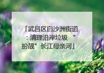 武昌区白沙洲街道：清理沿岸垃圾 “扮靓”长江母亲河