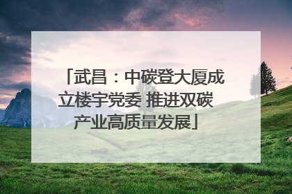 武昌：中碳登大厦成立楼宇党委 推进双碳产业高质量发展