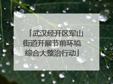 武汉经开区军山街道开展节前环境综合大整治行动
