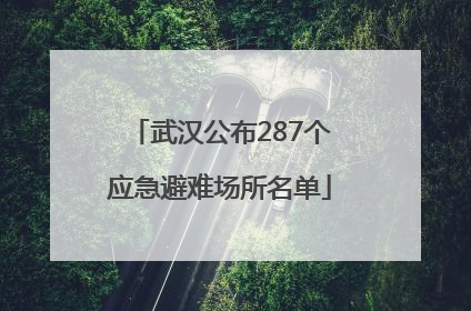 武汉公布287个应急避难场所名单