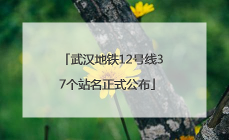 武汉地铁12号线37个站名正式公布