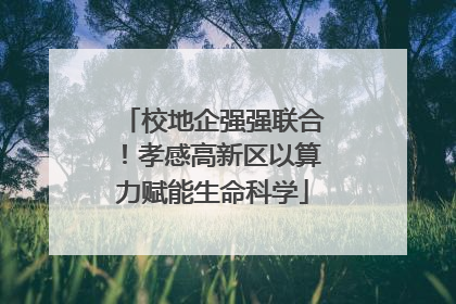 校地企强强联合！孝感高新区以算力赋能生命科学