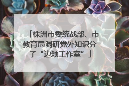 株洲市委统战部、市教育局调研党外知识分子“边颖工作室”