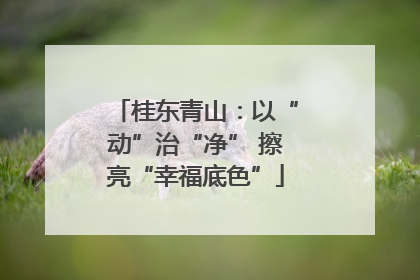 桂东青山：以“动”治“净” 擦亮“幸福底色”