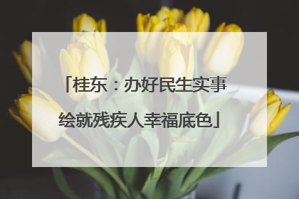 桂东：办好民生实事 绘就残疾人幸福底色