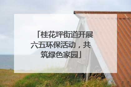 桂花坪街道开展六五环保活动，共筑绿色家园