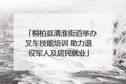 桐柏县清淮街道举办叉车技能培训 助力退役军人及居民就业