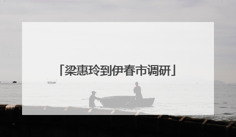 梁惠玲到伊春市调研