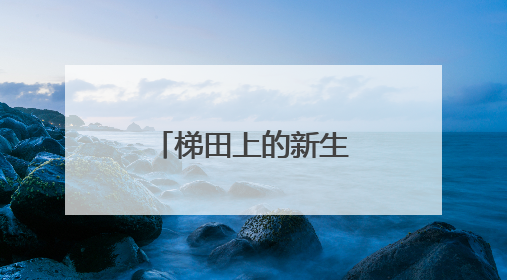 梯田上的新生：云和社区矫正五载耕耘路