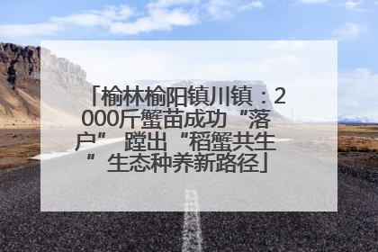 榆林榆阳镇川镇：2000斤蟹苗成功“落户” 蹚出“稻蟹共生”生态种养新路径