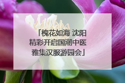 槐花如海 沈阳精彩开启国潮中医雅集汉服游园会