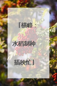 横峰：水稻制种插秧忙