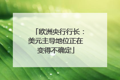 欧洲央行行长：美元主导地位正在变得不确定