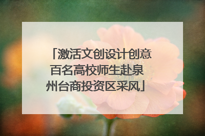 激活文创设计创意 百名高校师生赴泉州台商投资区采风