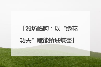 潍坊临朐：以“绣花功夫”赋能镇域蝶变