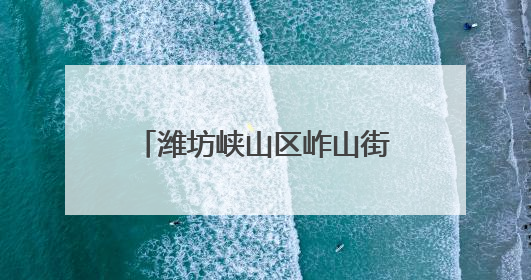 潍坊峡山区岞山街道：聚力集采谋发展 便民惠民办实事