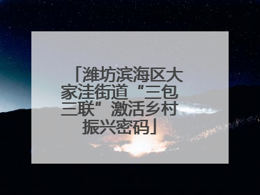 潍坊滨海区大家洼街道“三包三联”激活乡村振兴密码