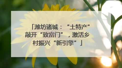 潍坊诸城：“土特产”敲开“致富门”，激活乡村振兴“新引擎”