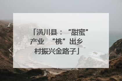 潢川县：“甜蜜”产业  “桃”出乡村振兴金路子