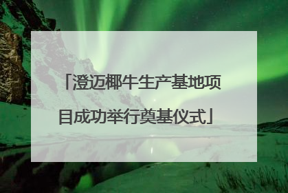 澄迈椰牛生产基地项目成功举行奠基仪式