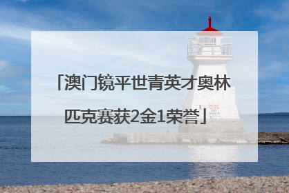 澳门镜平世青英才奥林匹克赛获2金1荣誉