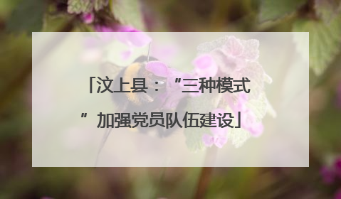 汶上县：“三种模式”加强党员队伍建设