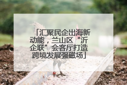 汇聚民企出海新动能，兰山区“沂企联”会客厅打造跨境发展强磁场