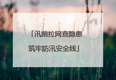 汛前拉网查隐患 筑牢防汛安全线