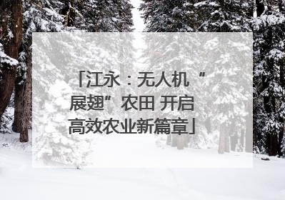 江永：无人机“展翅”农田 开启高效农业新篇章