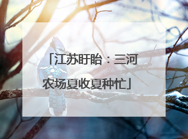 江苏盱眙：三河农场夏收夏种忙