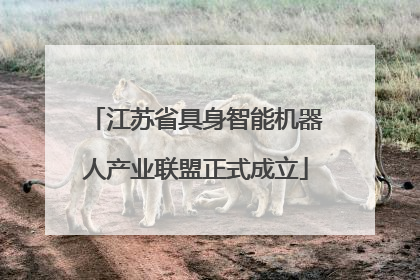 江苏省具身智能机器人产业联盟正式成立