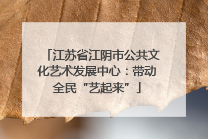 江苏省江阴市公共文化艺术发展中心：带动全民“艺起来”
