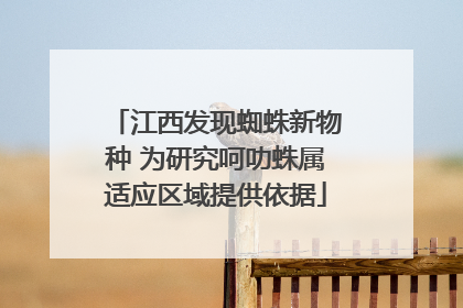 江西发现蜘蛛新物种 为研究呵叻蛛属适应区域提供依据