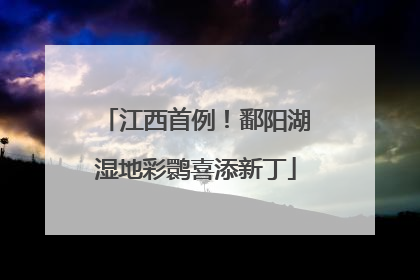 江西首例！鄱阳湖湿地彩鹮喜添新丁