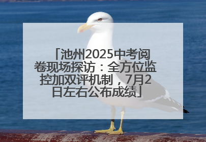 池州2025中考阅卷现场探访：全方位监控加双评机制，7月2日左右公布成绩
