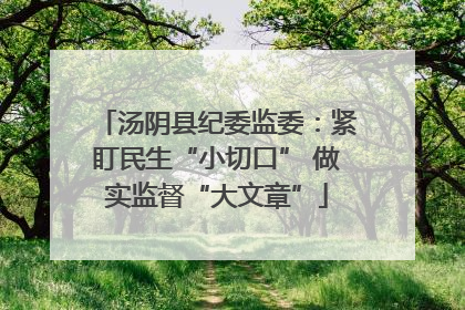 汤阴县纪委监委：紧盯民生“小切口” 做实监督“大文章”
