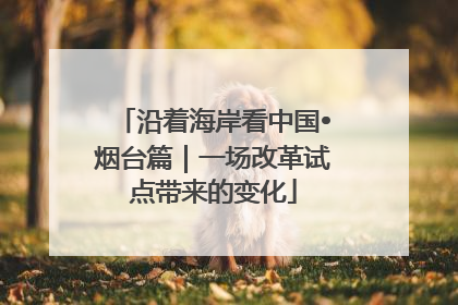 沿着海岸看中国•烟台篇｜一场改革试点带来的变化