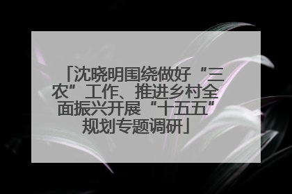 沈晓明围绕做好“三农”工作、推进乡村全面振兴开展“十五五”规划专题调研